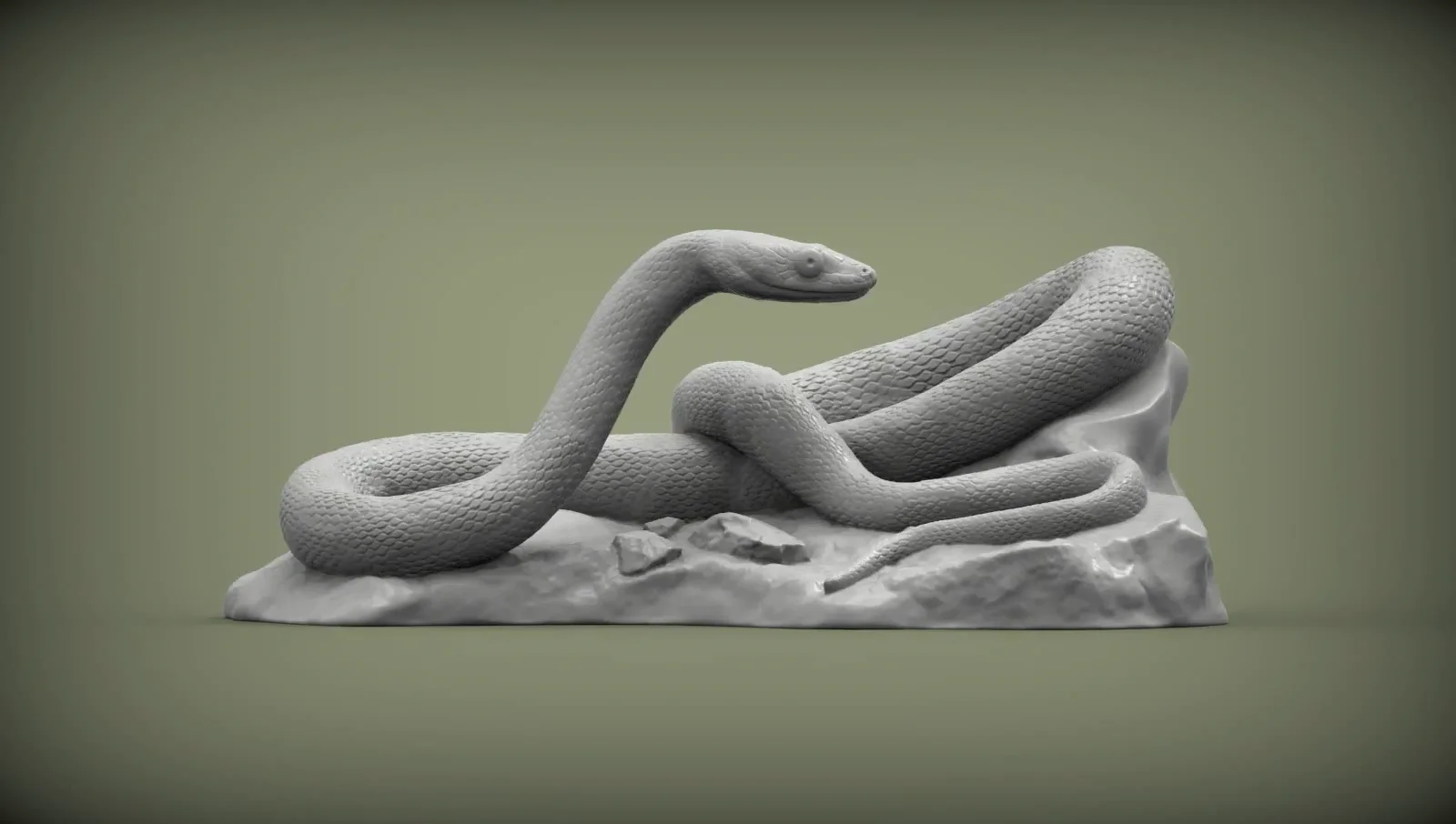 Trans-pecos rat snake 3D print model
