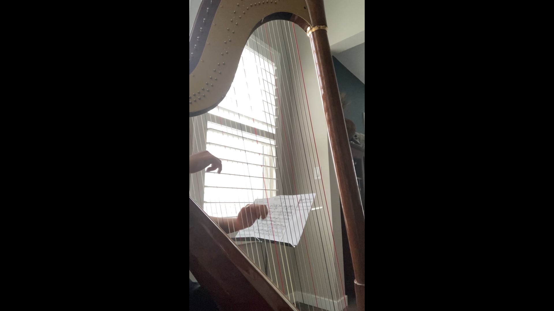 Promotional video thumbnail 1 for Brielle Underwood, Event Harpist
