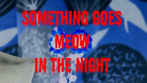 Something Goes Meow in the Night