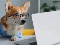 Open Enrollment Video 1