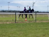Russian Revolution x Crimson And Clover 21 Colt - Jumpout comments from Peter Moody 24.10.23