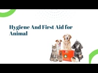 Animal Care: Module 03 Part 01