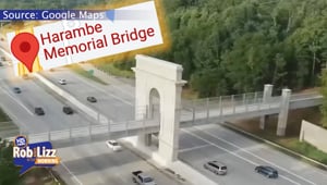 This Bridge is Named After WHO
