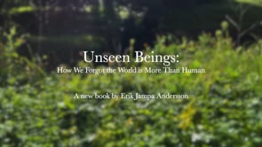 About 'Unseen Beings' by Erik Jampa Andersson