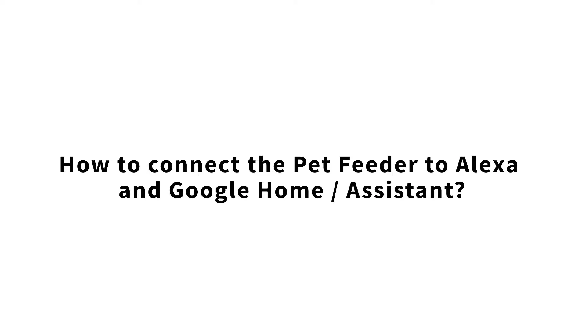 Google assistant pet outlet feeder