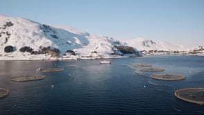 National Seafood Month: Sustainable Salmon with Mowi