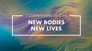 New Bodies – New Lives
