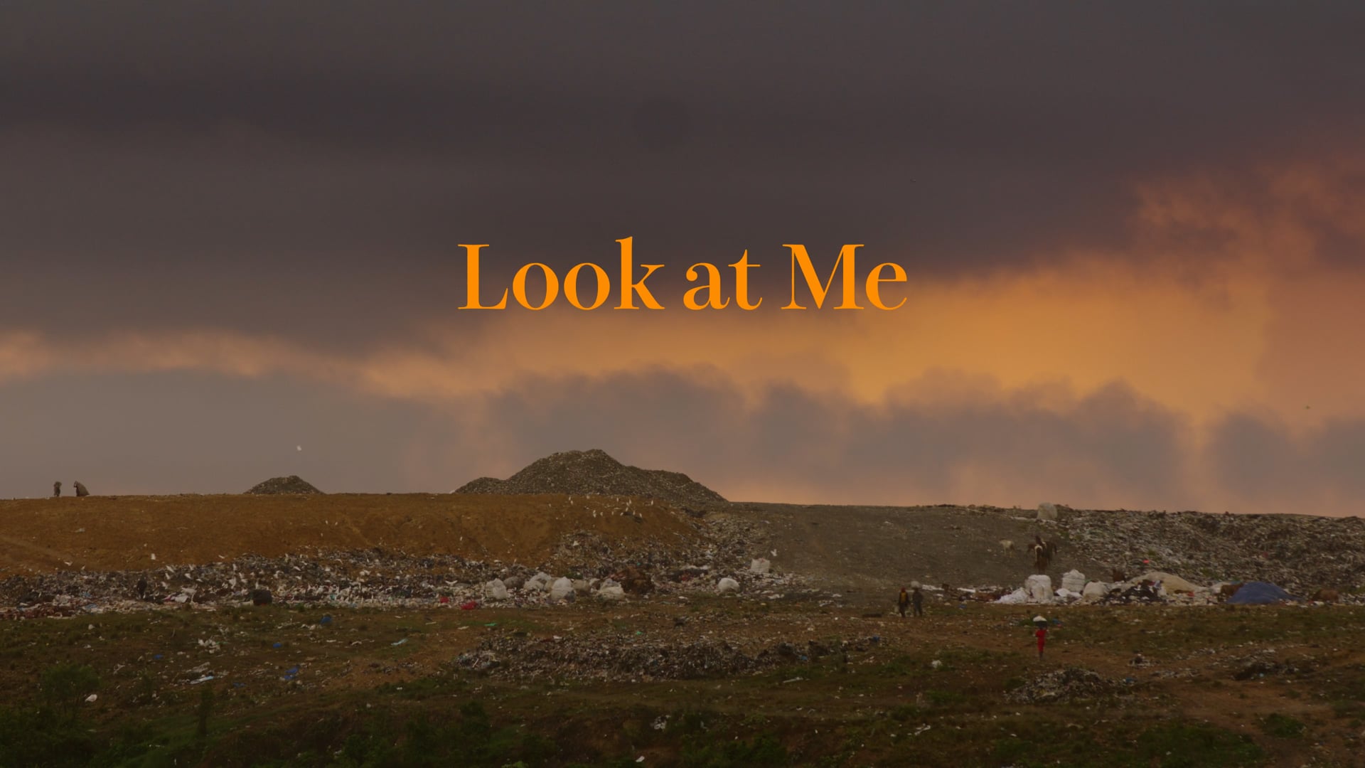 Look at Me