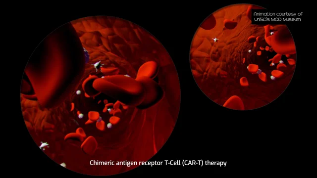 How small proteins called chemokines could be the answer to getting cancer-busting  CAR-T cells directly into solid tumours - Carina Biotech