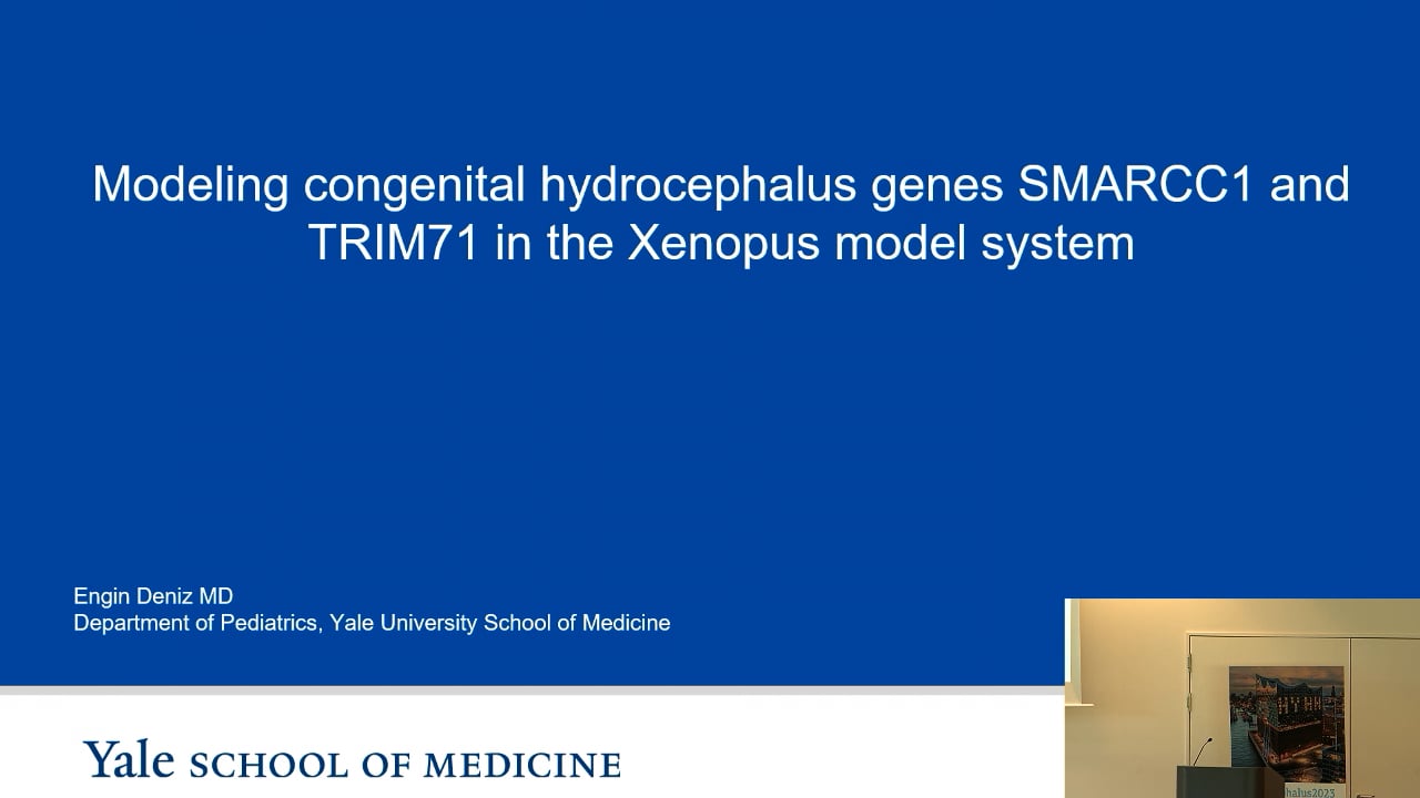 S6. Ergin Deniz - Modeling congenital hydrocephalus genes SMARCC1 and TRIM71 in the Xenopus model system