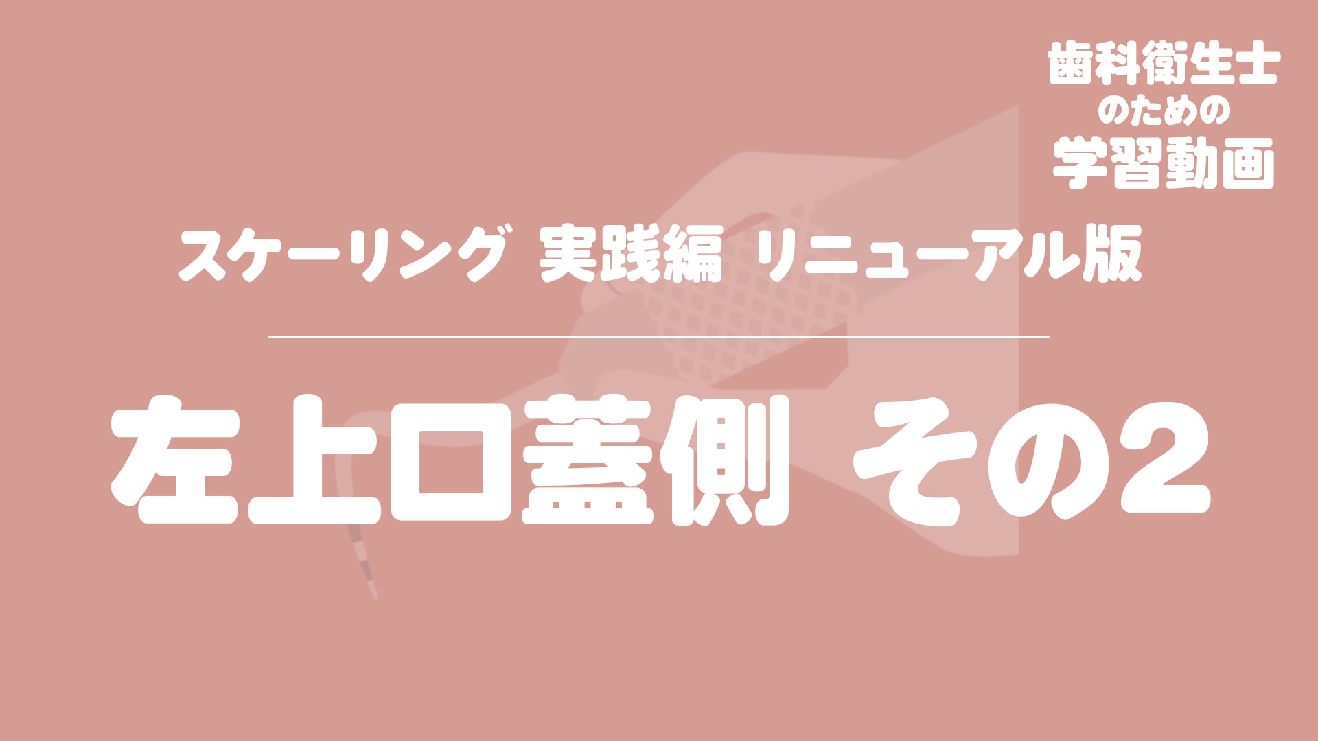 08.左上口蓋側その2