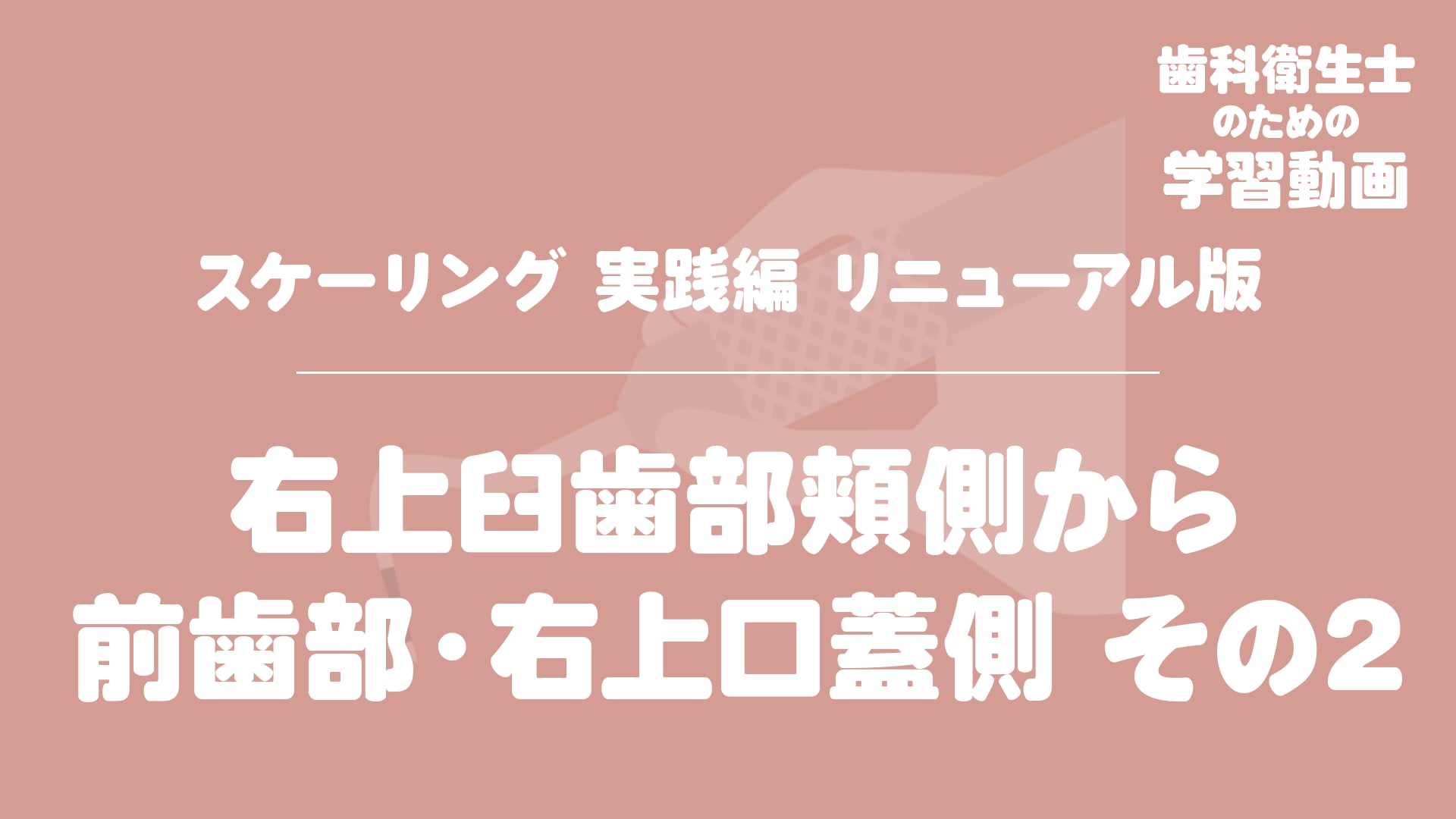 12.右上臼歯部頬側から前歯部・右上口蓋側その2