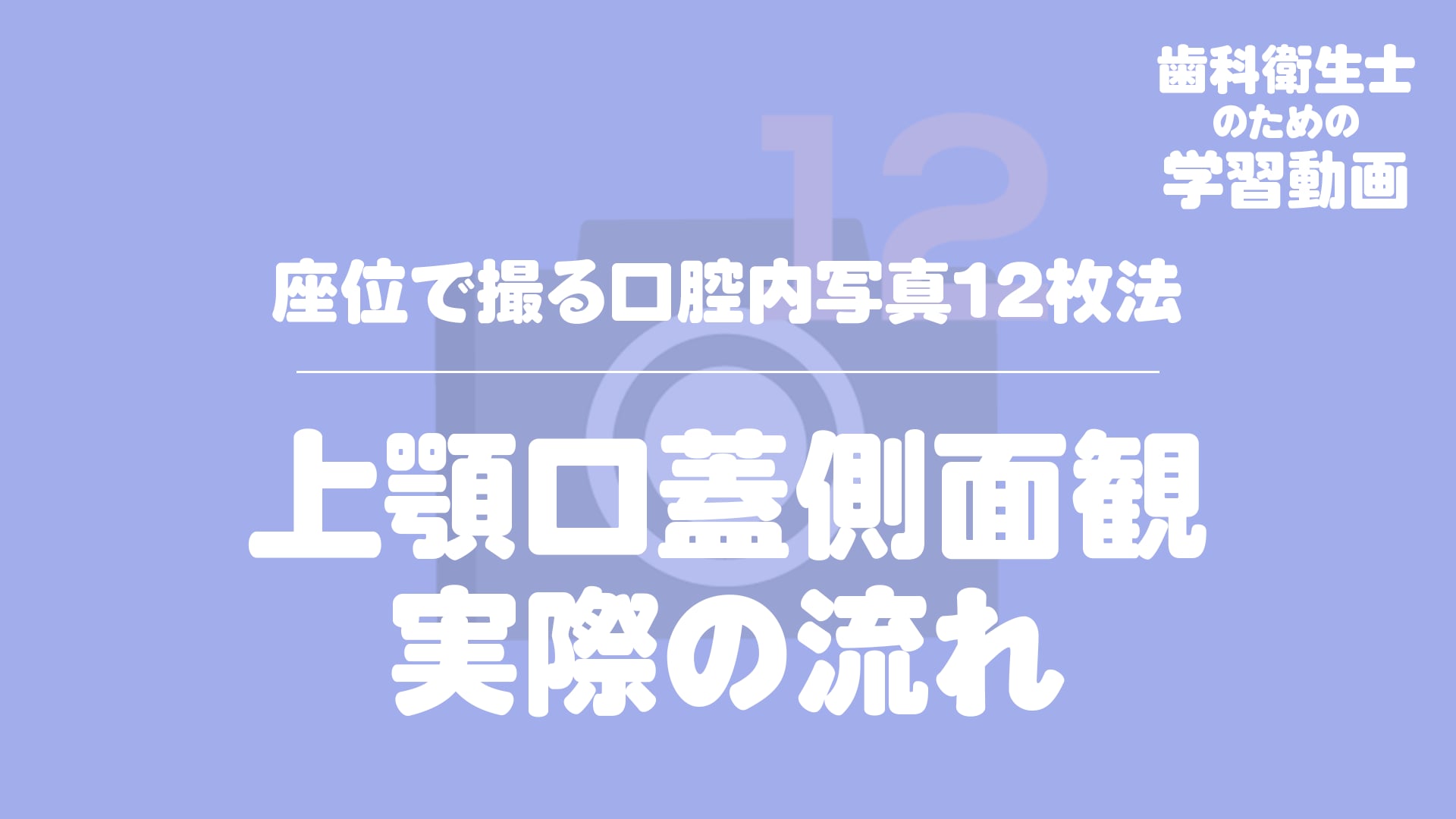 12.上顎口蓋側面観実際の流れ