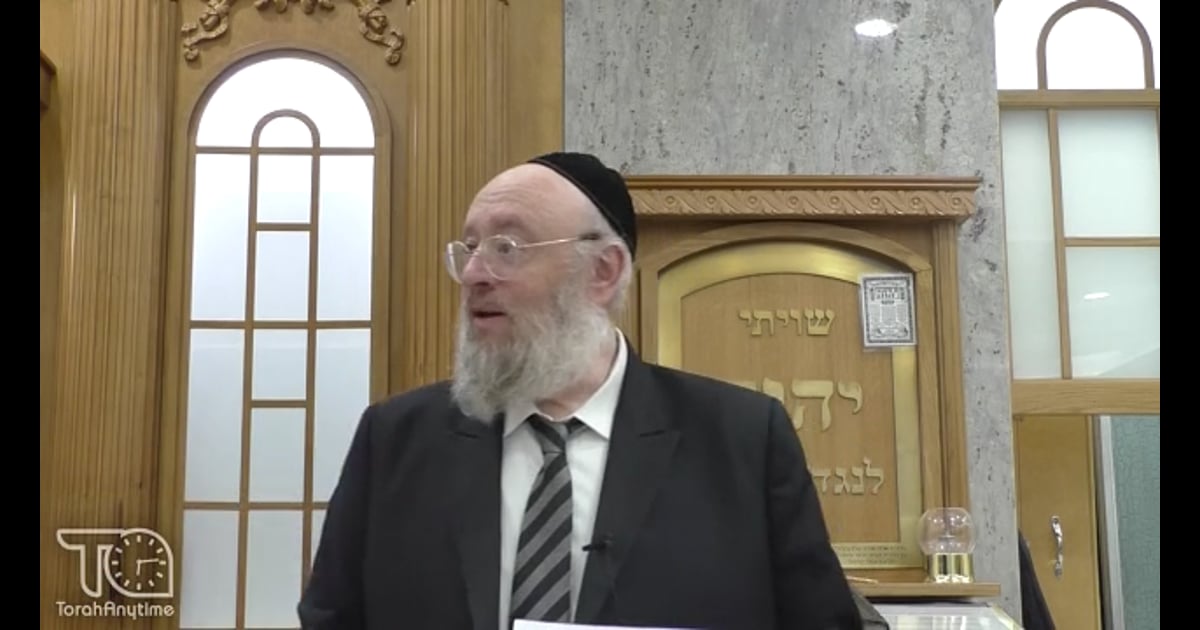 R' Shraga Feivel Zimmerman Hearing Aids in Halacha (Part 2)