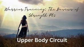 Warrior Training The Basics of Strength Part 2 - Upper Body Circuit