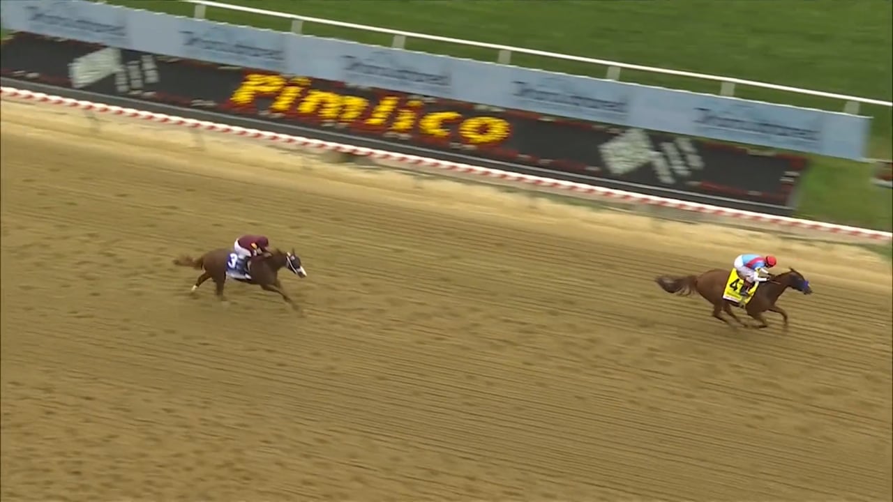 Arabian Lion | 2023 Sir Barton Stakes