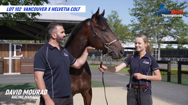 Vancouver X Helvetia 21 Colt - Promo