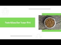 Animal Care: Module 02 Part 07