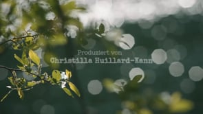 Rachel Carson, la mère de l&rsquo;écologie