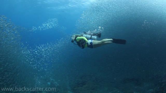 Pegasus Thruster on the Hilma Hooker - Canon 5Dmk II Underwater Video