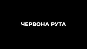 Червона рута