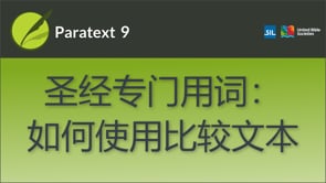 圣经专门用词：如何使用比较文本