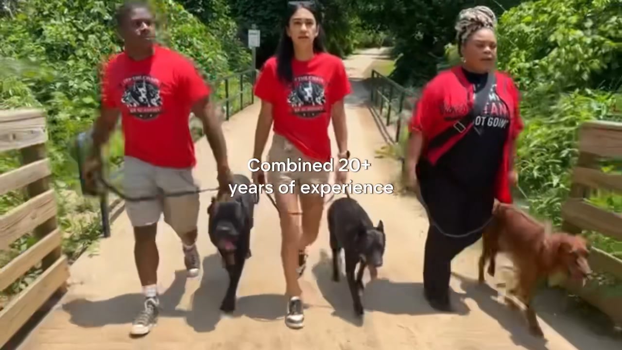 https://i.vimeocdn.com/video/1744215246-999aa09831188c830075b86faddb7fa7d88d5cbdf60f49d9ae9bcd2430cf1d1f-d
