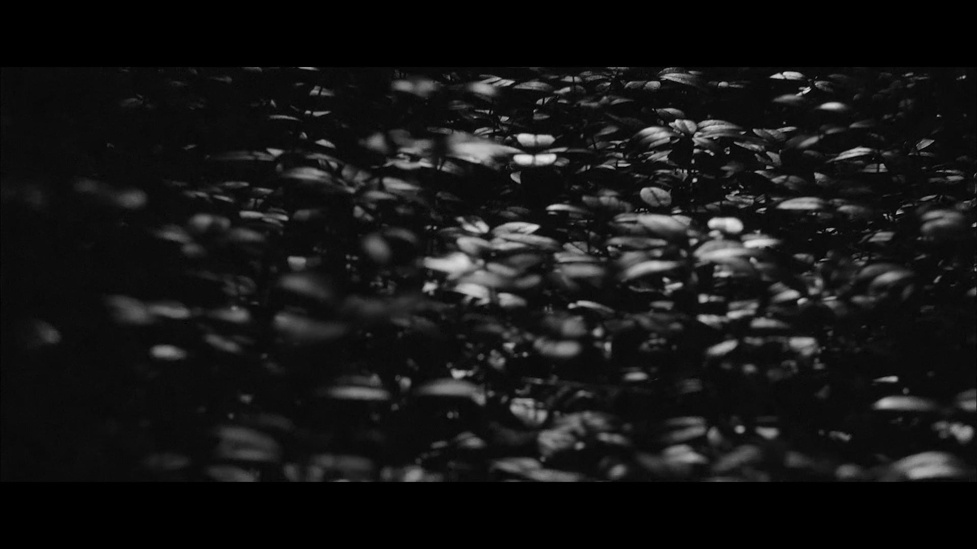 Showreel_Alex Kla