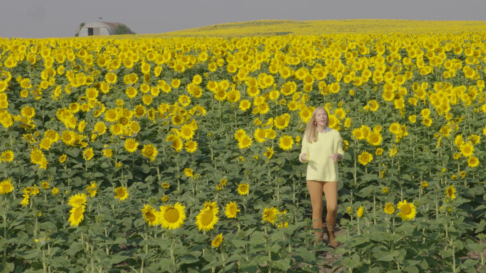 North Dakota Chasing Sunflowers: Travels with Darley :60 Preview on Vimeo