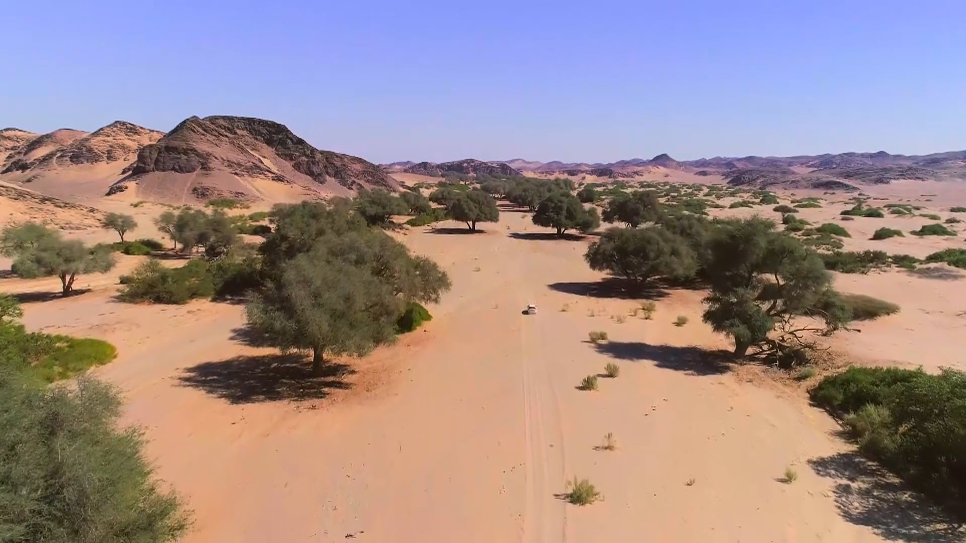 The British Tribe Next Door (C4 Series) Zebra Crossing