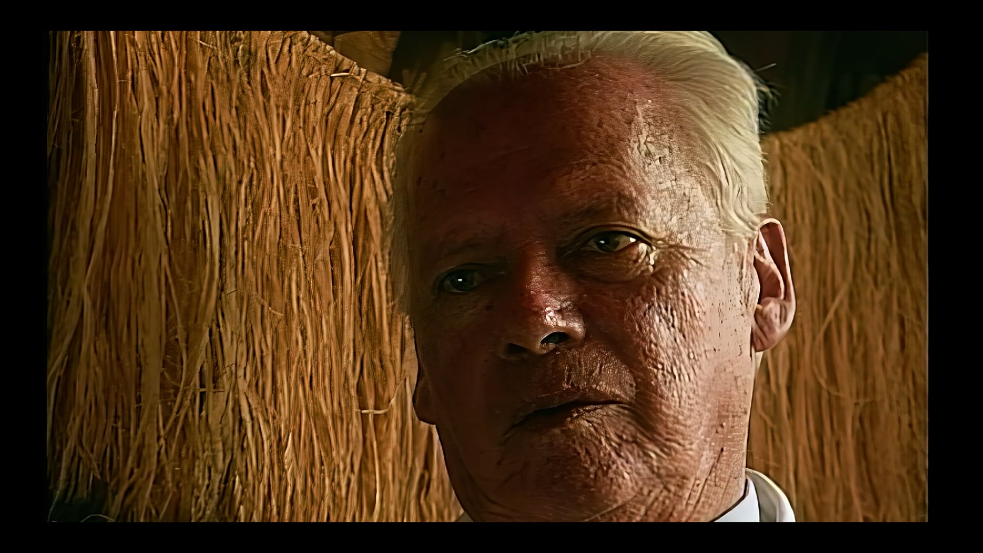 04 Biodiversidad acuática