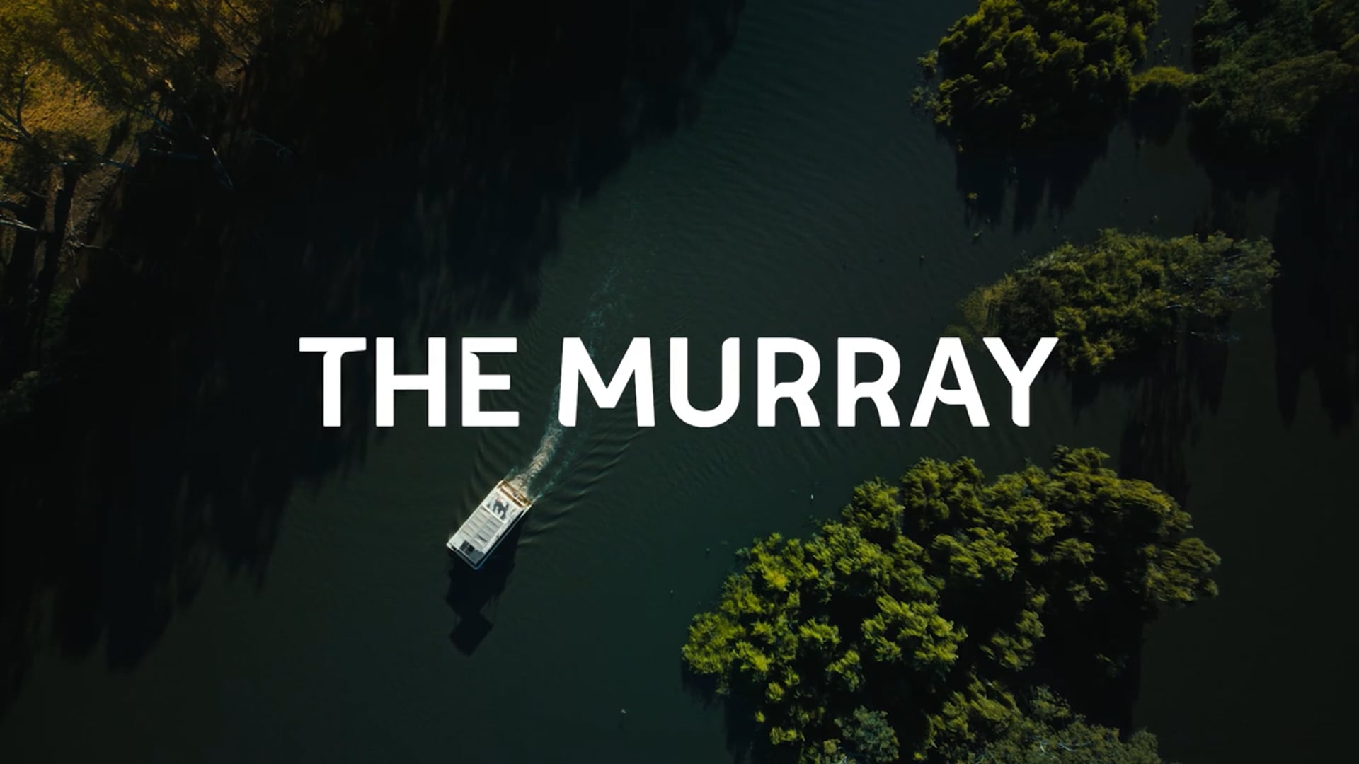 Feel New in the Murray