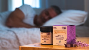 Stress Free Holidays