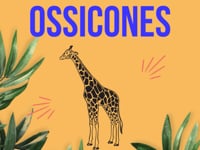 Giraffe Ossicones