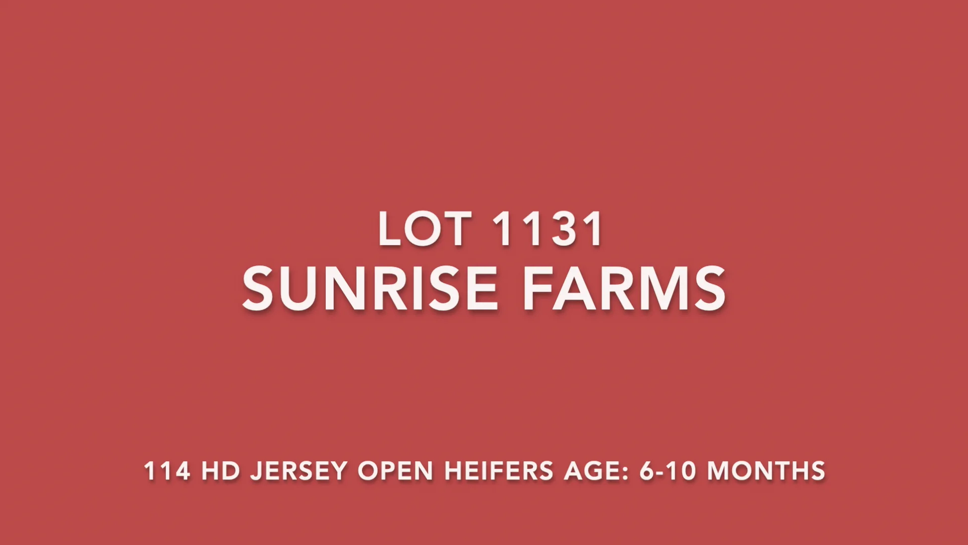 lot-1131-sunrise-farms