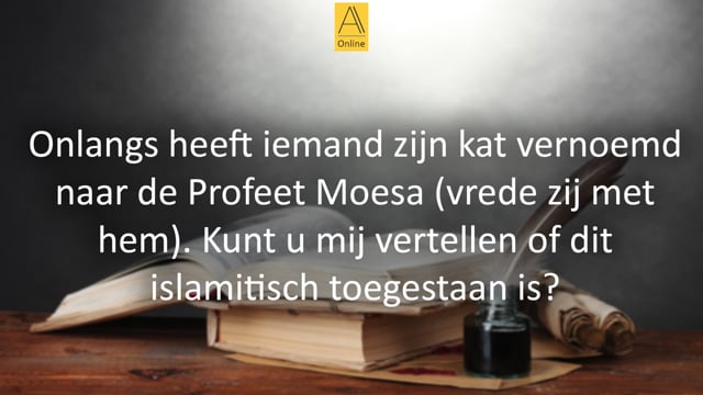 Een kat Moesa noemen