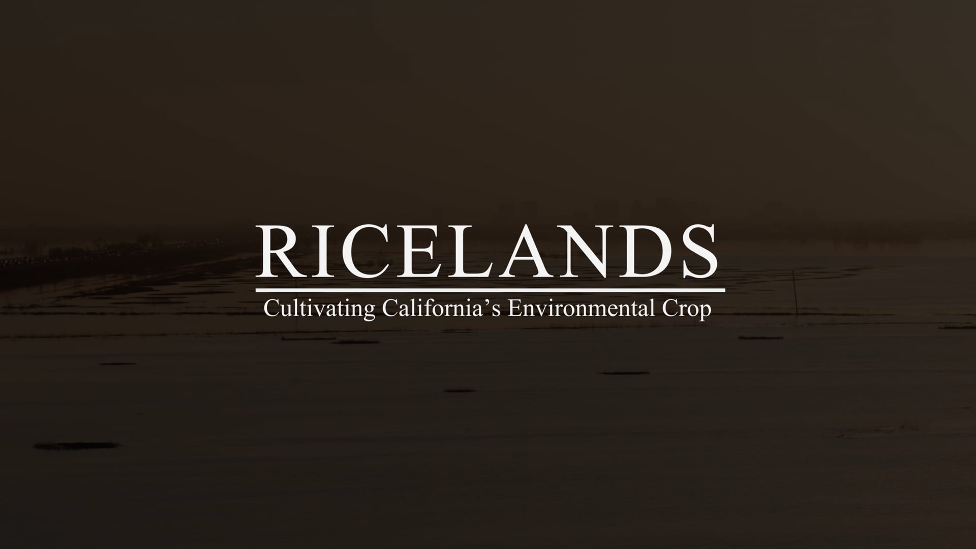 RICELANDS - Cultivating California's Environmental Crop