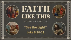 See the Light