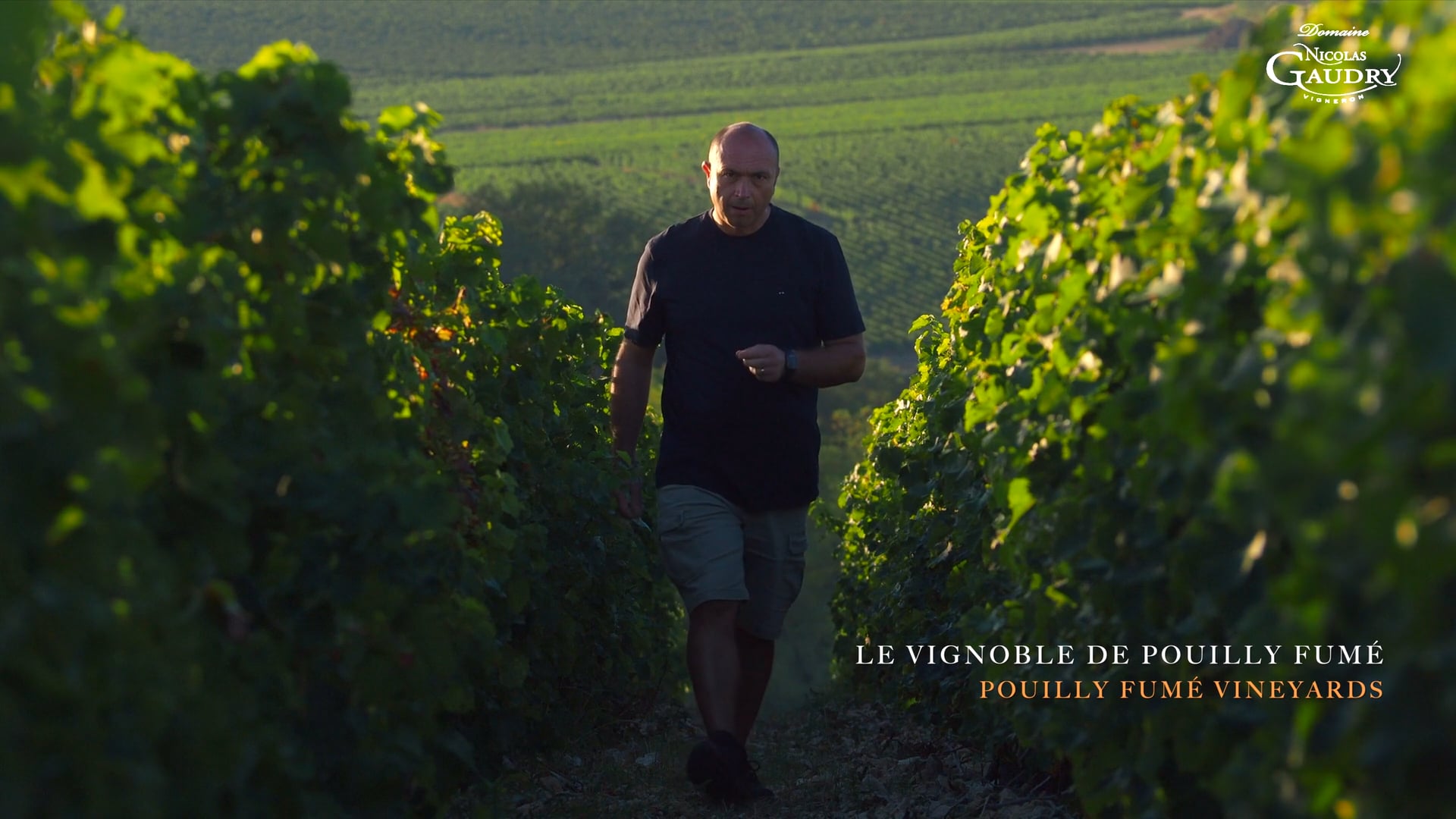FILM DOMAINE NICOLAS GAUDRY VERSION INTERNATIONALE