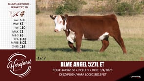 Lot #4 - BLME ANGEL 527L ET