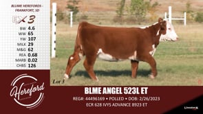 Lot #3 - BLME ANGEL 523L ET