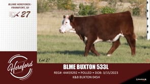 Lot #27 - BLME BUXTON 533L