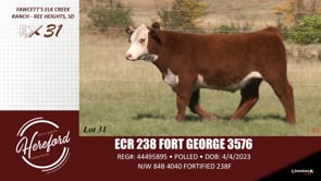 Lot #31 - EXR 238 FORT GEORGE 3576
