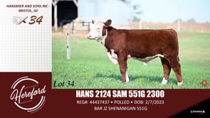 Lot #34 - HANS 2124 SAM 551G 2300