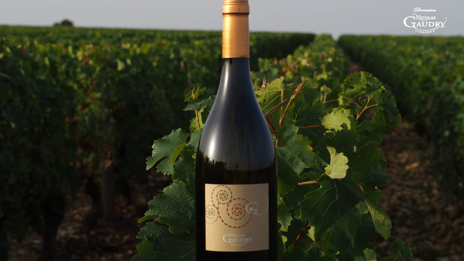 CUVÉE POINT G DOMAINE NICOLAS GAUDRY