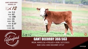 Lot #12 - GANT DECORBY 366 563