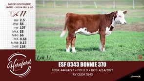 Lot #11 - ESF 0343 BONNIE 370
