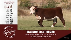 Lot #2 - BLACKTOP SOLUTION 380