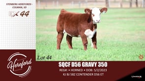 Lot #44 - SQCF D56 GRAVY 350