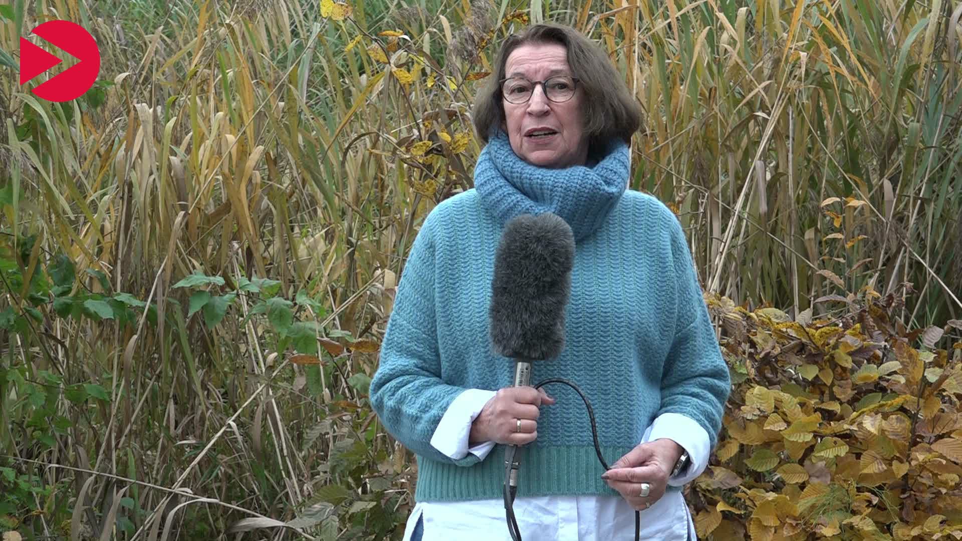 Video Vorschaubild November